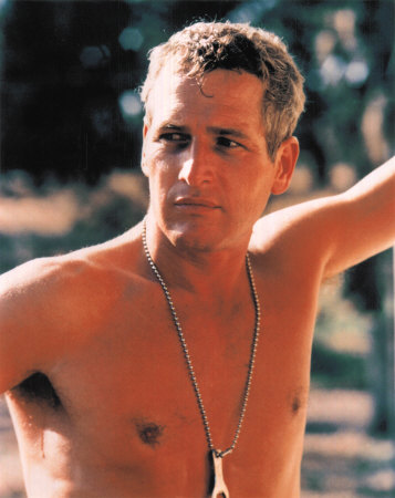 Hollywood legend Paul Newman in Cool Hand Luke